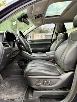 Hyundai Palissade 2020 Noir Mat