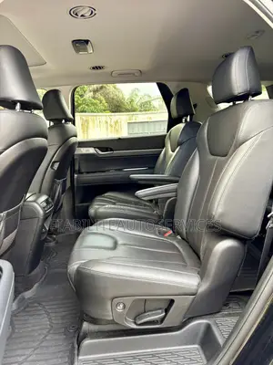 Hyundai Palissade 2020 Noir Mat