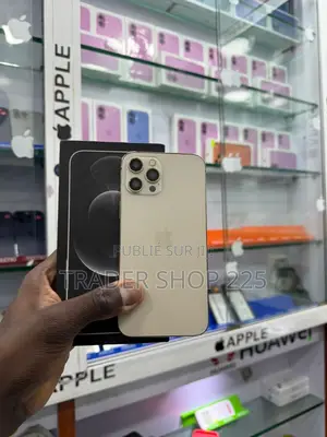 New Apple iPhone 12 Pro Max 128 GB Doré
