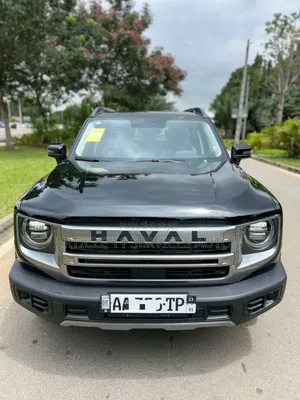 Photo - New Haval Big Dog 2025 Black