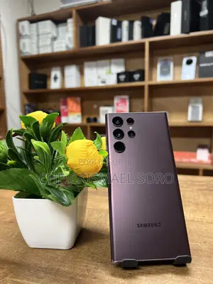 Samsung Galaxy S22 Ultra 5G 128 GB Bronze