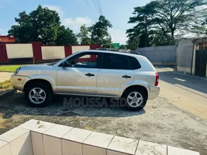 Hyundai Tucson 2004 Gris