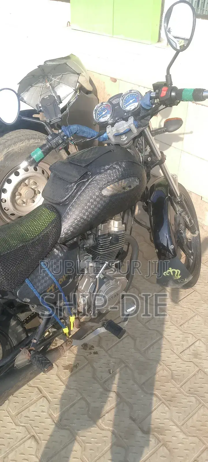 Royal Moto/Vélomoteurs 2024 Black