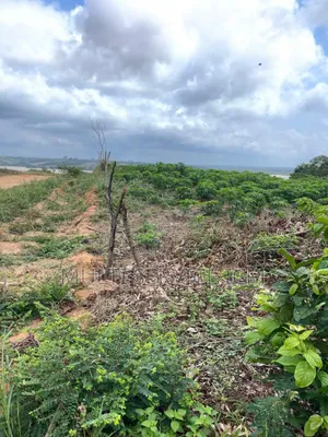 Les Lots Son Sit Vers La Sité Adoha 
 7lots De 500m2 Avec Approba