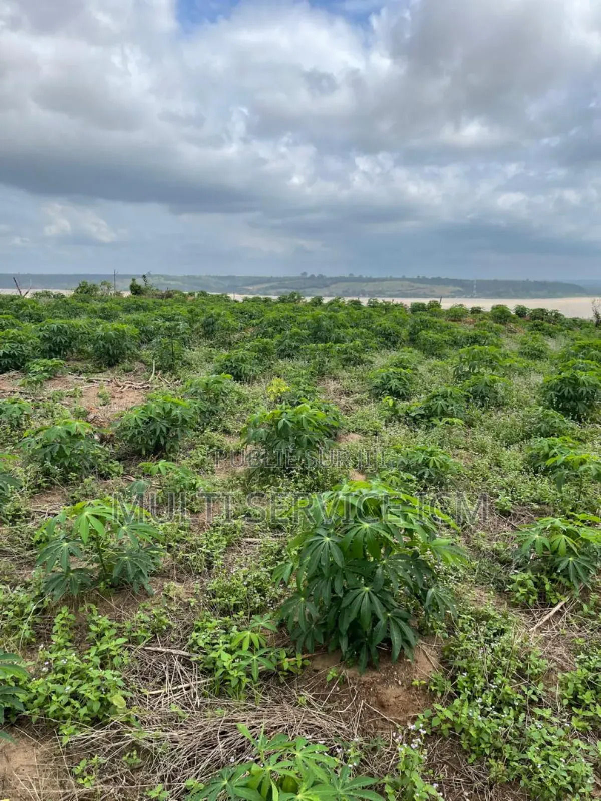 Les Lots Son Sit Vers La Sité Adoha 
 7lots De 500m2 Avec Approba
