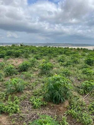 Les Lots Son Sit Vers La Sité Adoha 
 7lots De 500m2 Avec Approba
