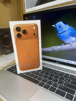 Photo - New Apple iPhone 17 Pro Max 256 GB Orange