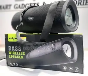 Zealot S39