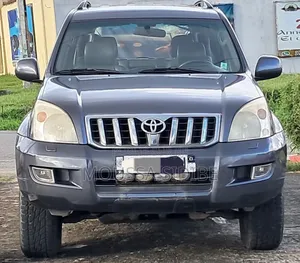 Photo - Toyota Land Cruiser 2005 Gris