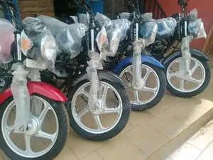 Photo - New TVS HLX 125 2024