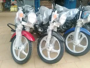 New TVS HLX 125 2024