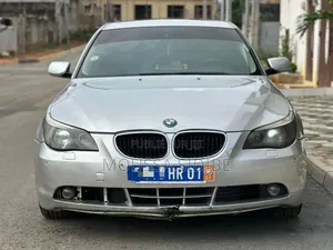BMW 3 Series 316i RWD 2004 Gris
