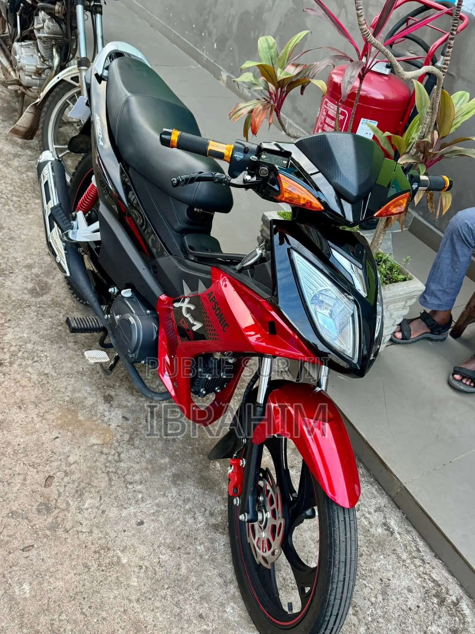 Apsonic AP10-3 2024 Rouge