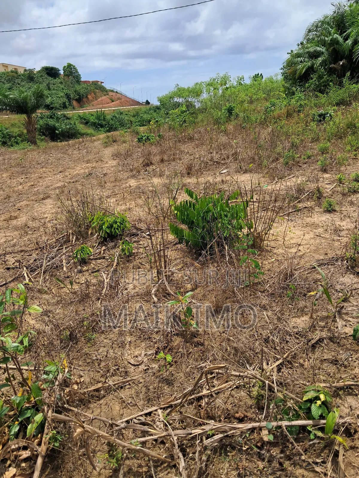 Terrain De 400m2 en Vente À San-Pedro