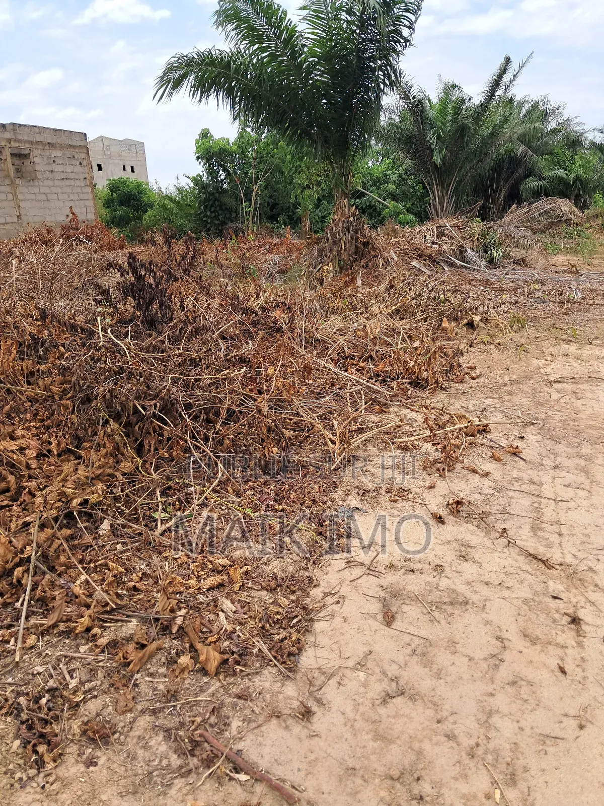 Un Terrain De 400m2 en Vente À San-Pedro