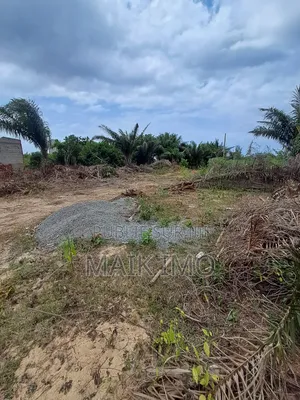 Un Terrain De 400m2 en Vente À San-Pedro