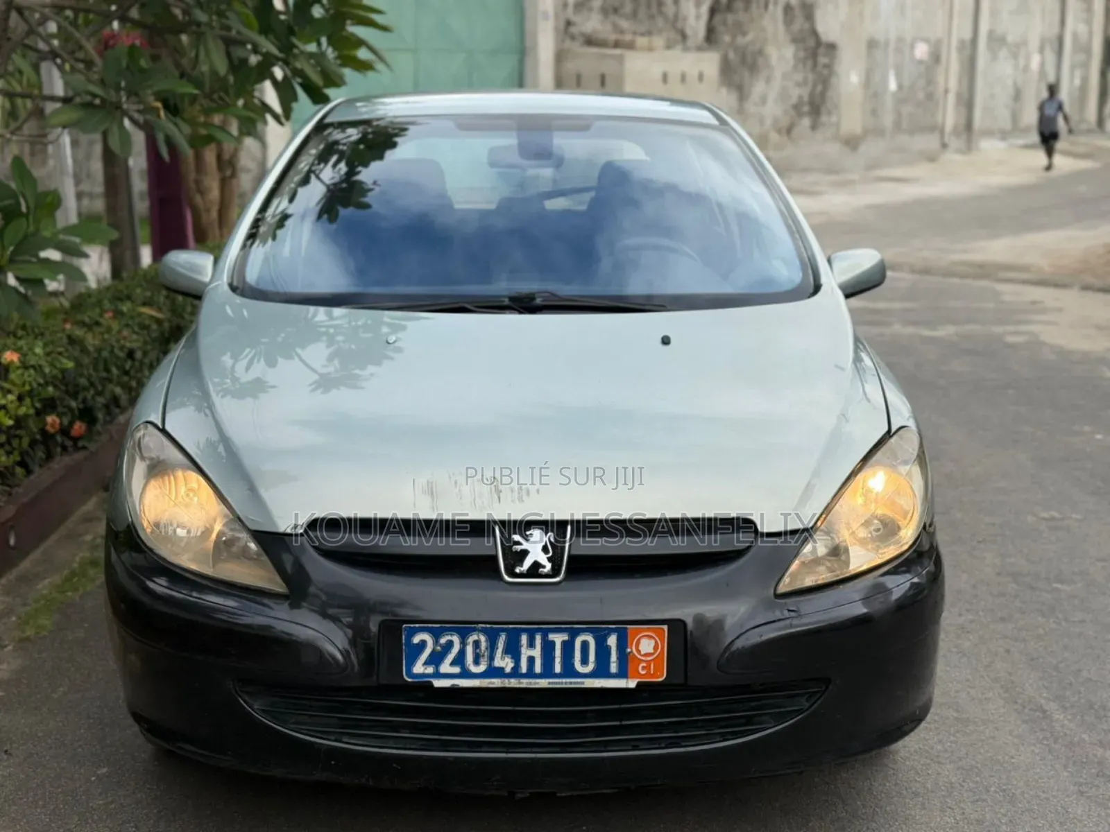 Peugeot 307 2001 Gris