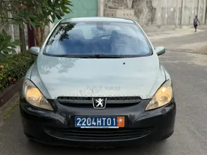 Peugeot 307 2001 Gris