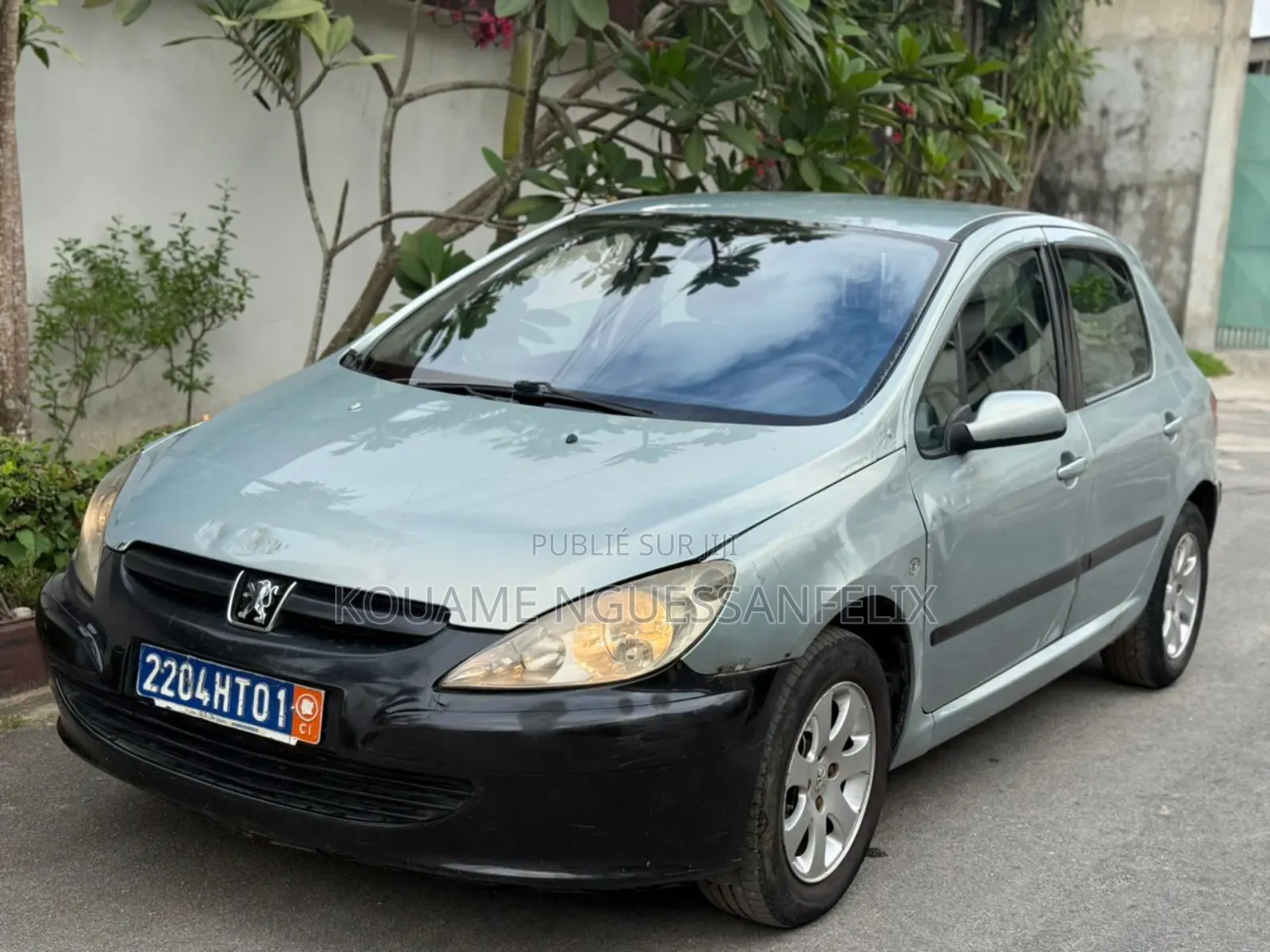 Peugeot 307 2001 Gris