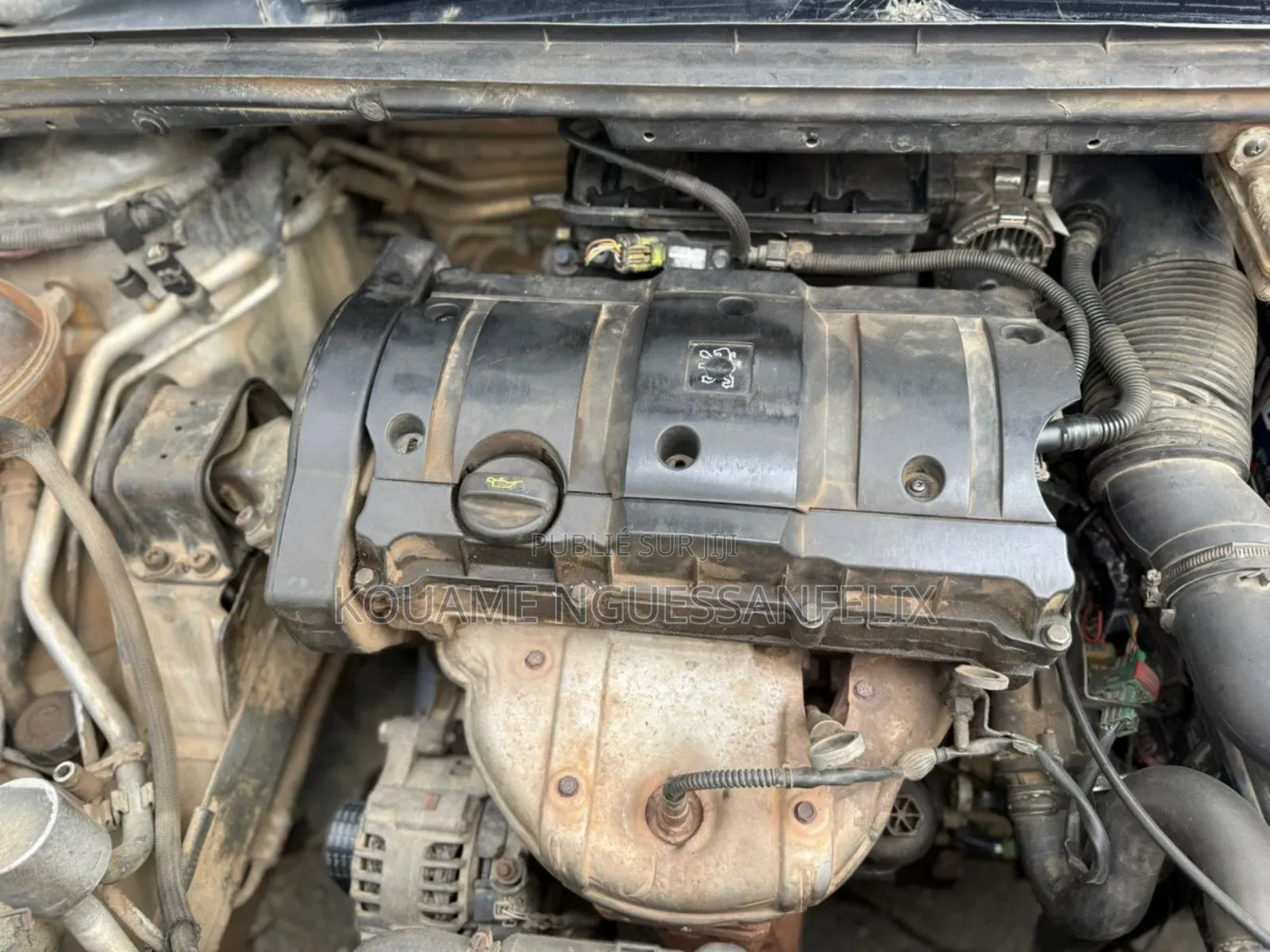 Peugeot 307 2001 Gris