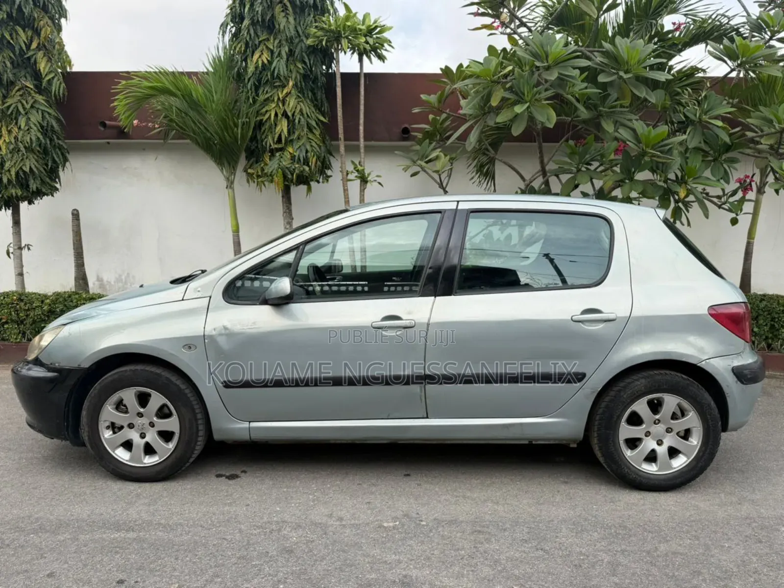 Peugeot 307 2001 Gris
