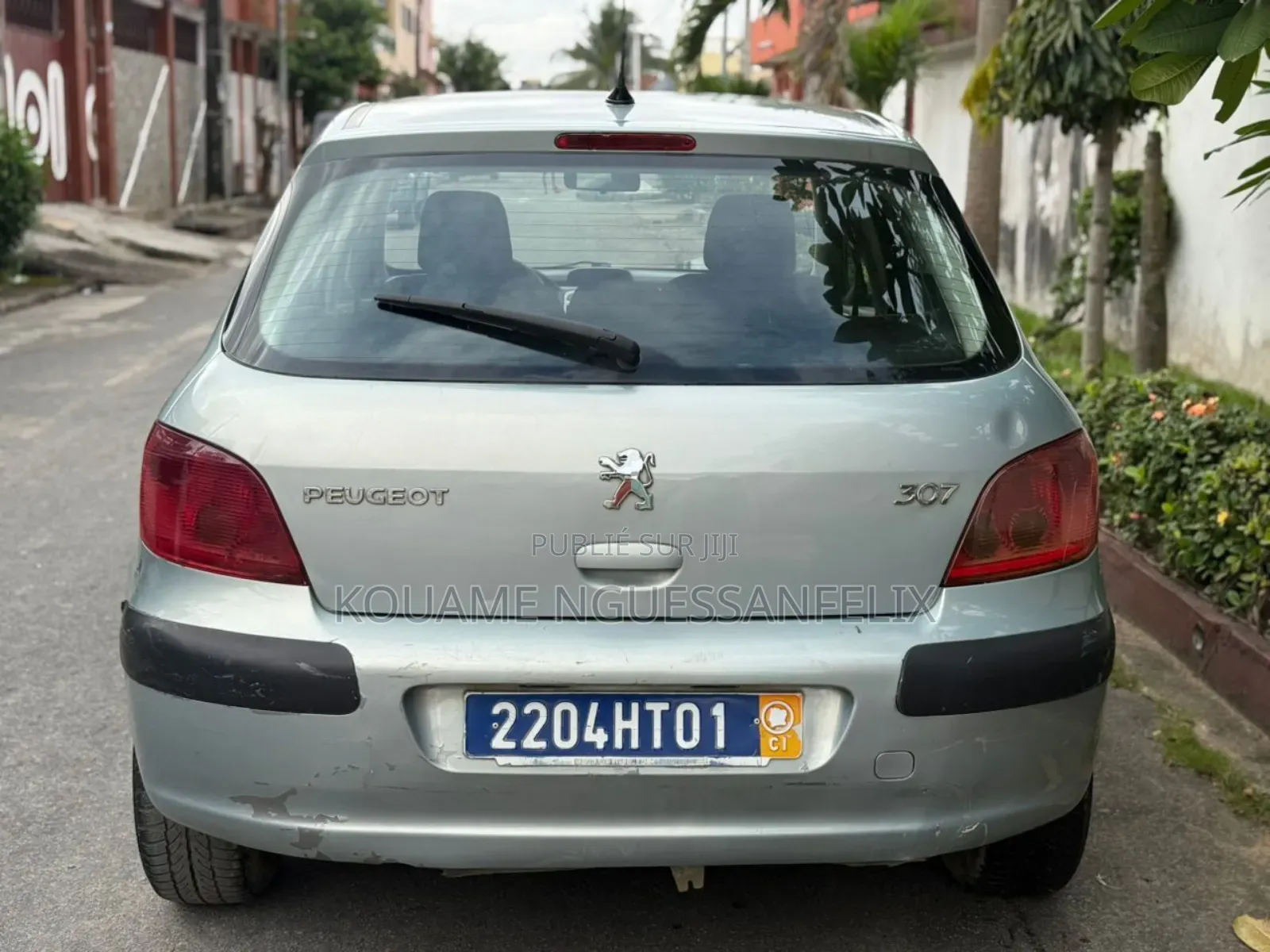 Peugeot 307 2001 Gris