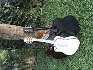 Guitare Acoustique Et Classique .Corde en Nylon Et en Acier