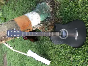 Photo - Guitare Folk Et Classique