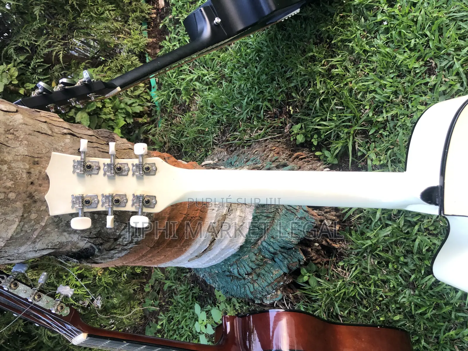 Guitare Folk Et Classique