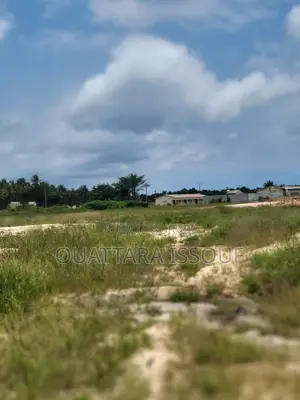 Photo - Terrain À Vendre Jacqueville Bapo