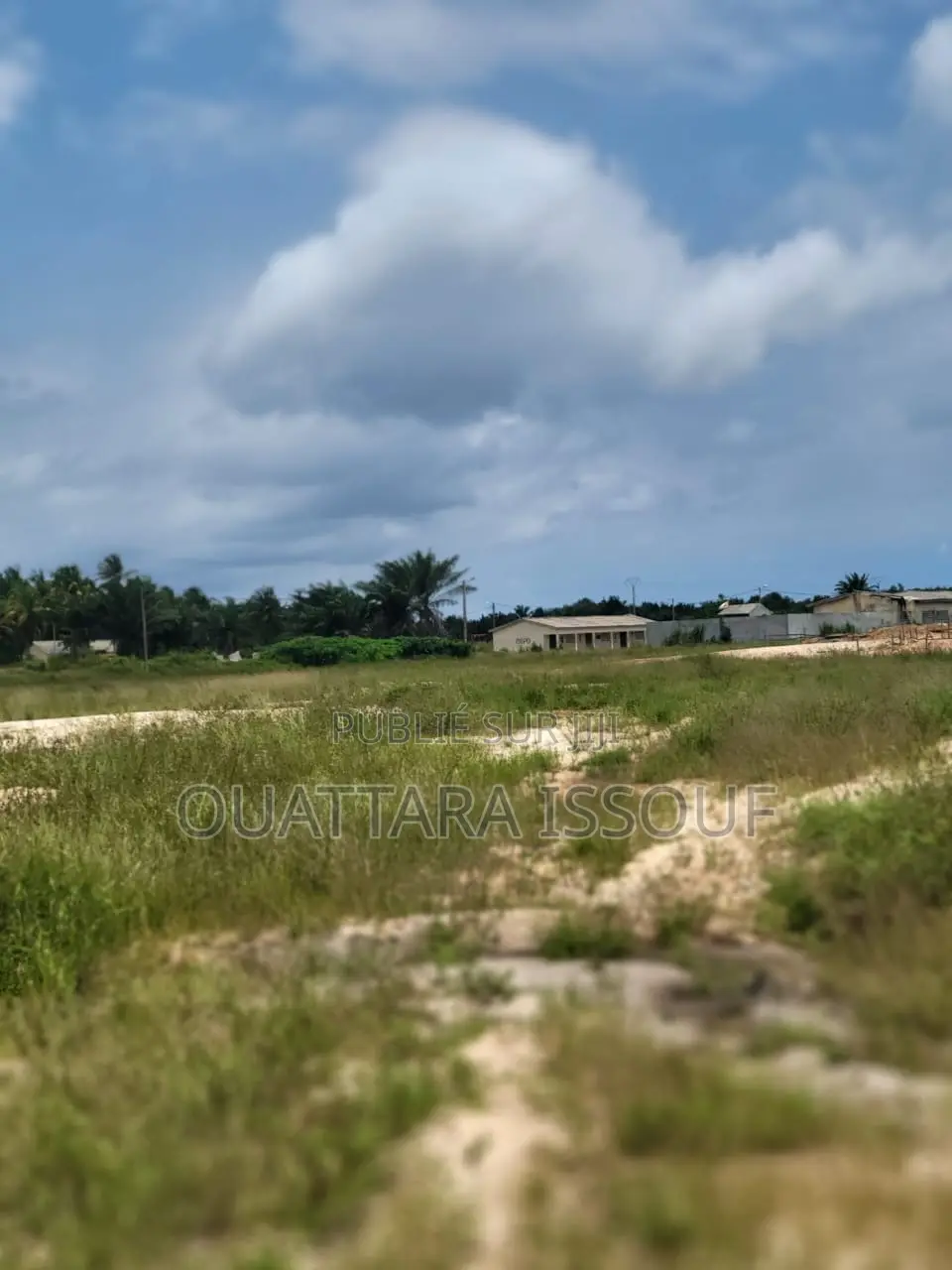 Terrain À Vendre Jacqueville Bapo