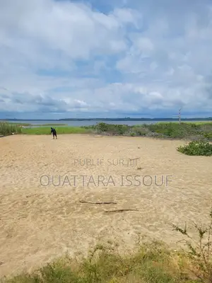 Terrain À Vendre Jacqueville Bapo