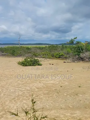 Terrain À Vendre Jacqueville Bapo