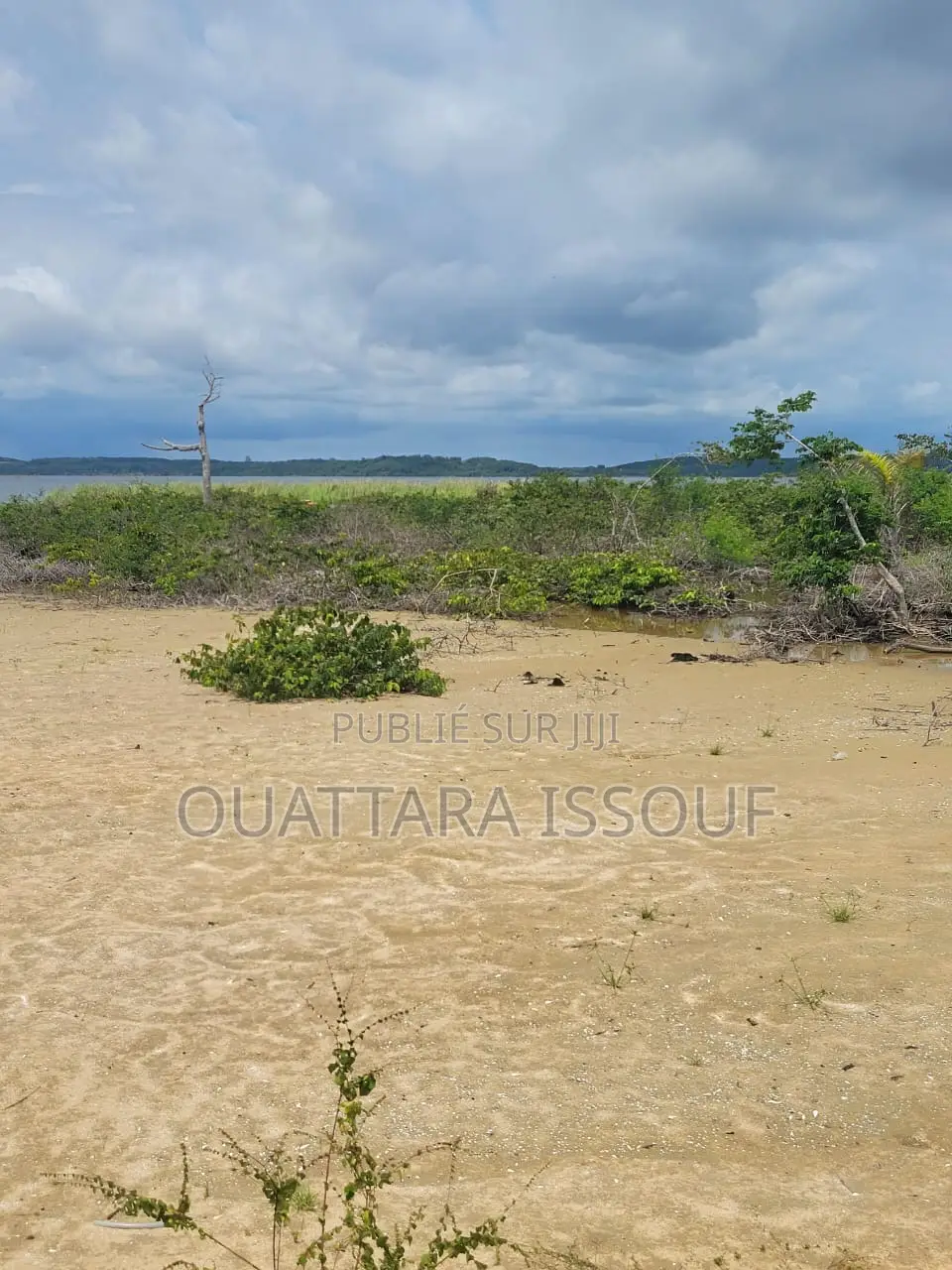 Terrain À Vendre Jacqueville Bapo