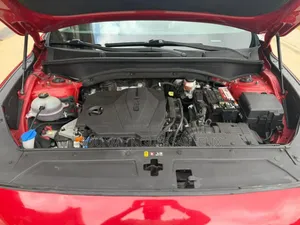 New Hyundai Santa Fe 2022 Rouge