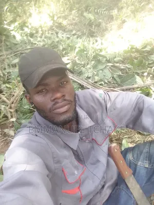 Photo - Jeune Travailleur Voulant Une Insertion Professionnelle