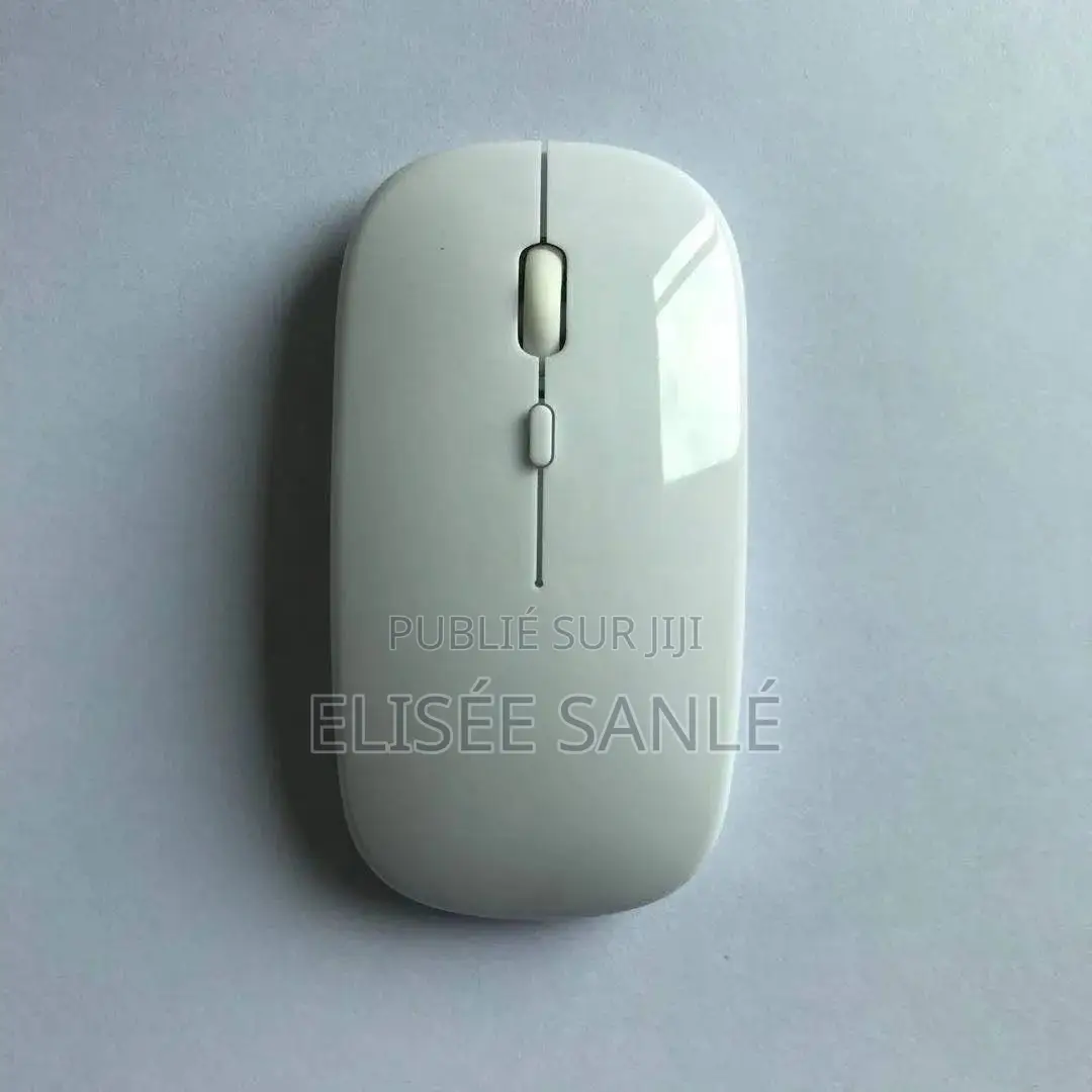 Souris Sans Fil