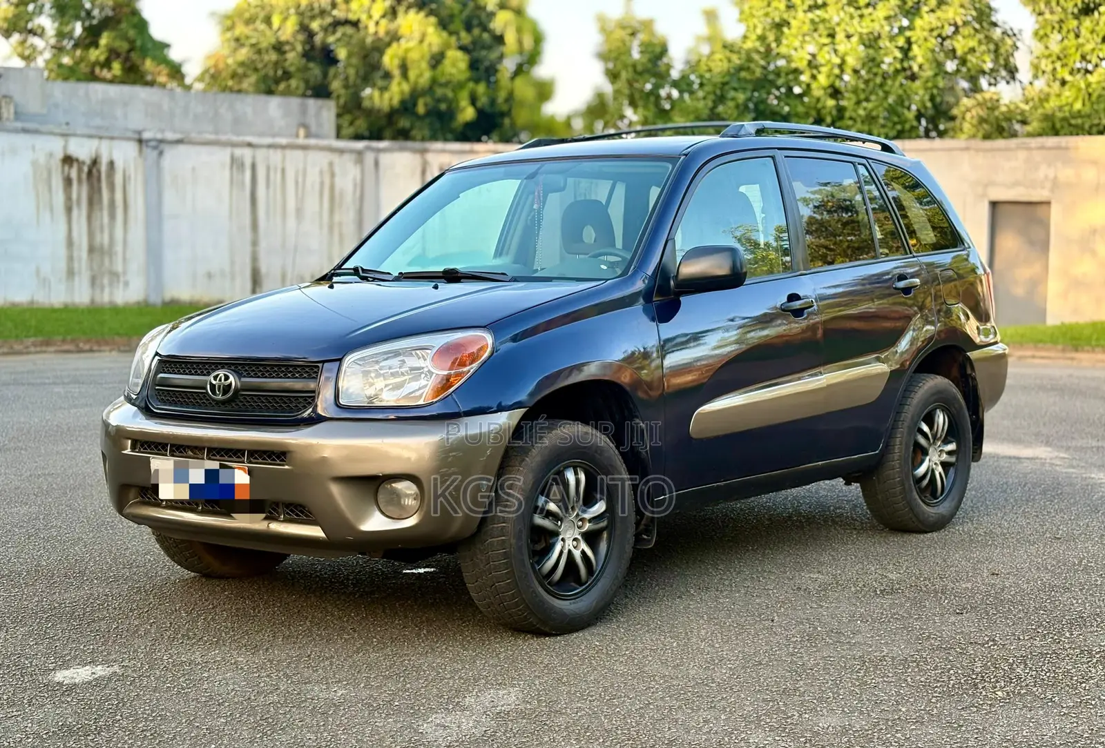 Toyota RAV4 2.0 4x4 2006 Blue