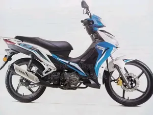 Photo - New Apsonic AP110 2024