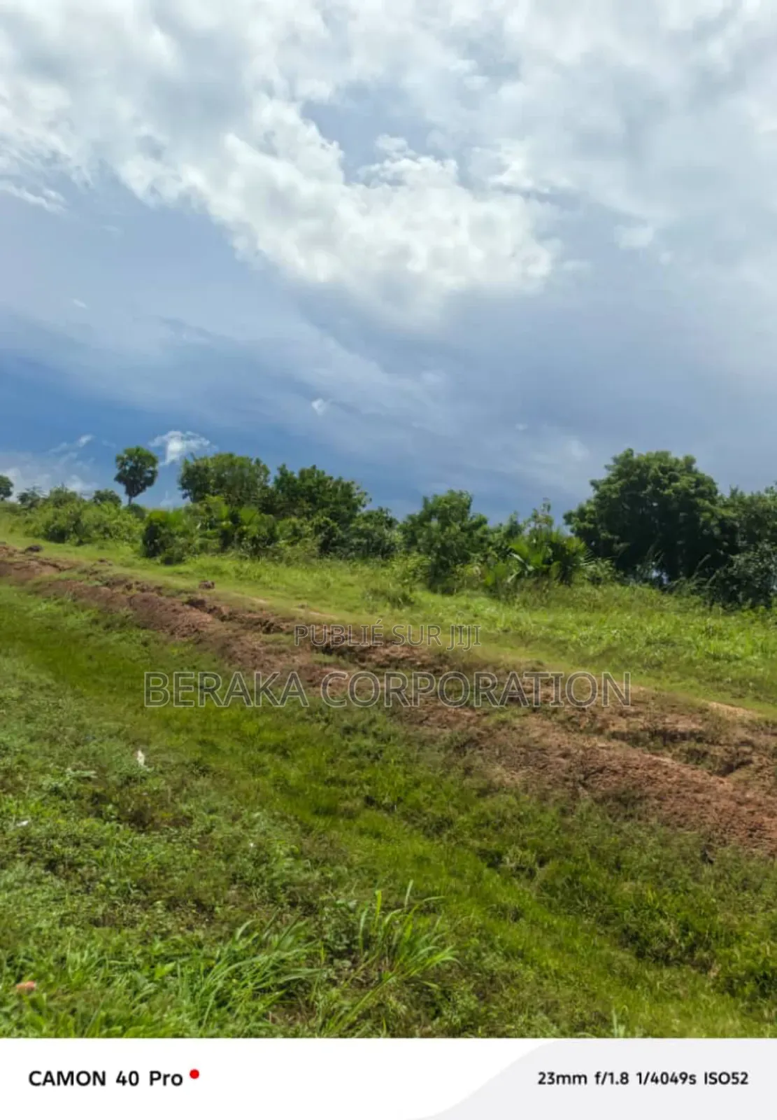 34 Hectares en Vente Autoroute Du Nord Pk 188 Certificat Foncier Agric