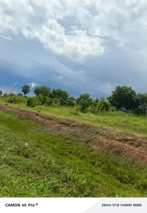 Photo - 34 Hectares en Vente Autoroute Du Nord Pk 188 Certificat Foncier Agric