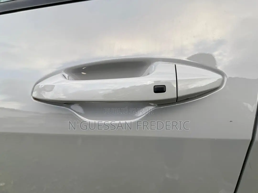 New Kia Sportage X-Line 2023 Gris