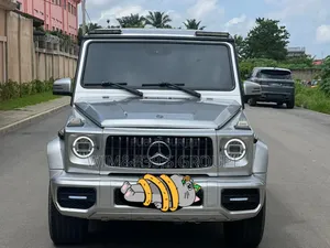 Photo - Mercedes-Benz G-Class 2017 Gris