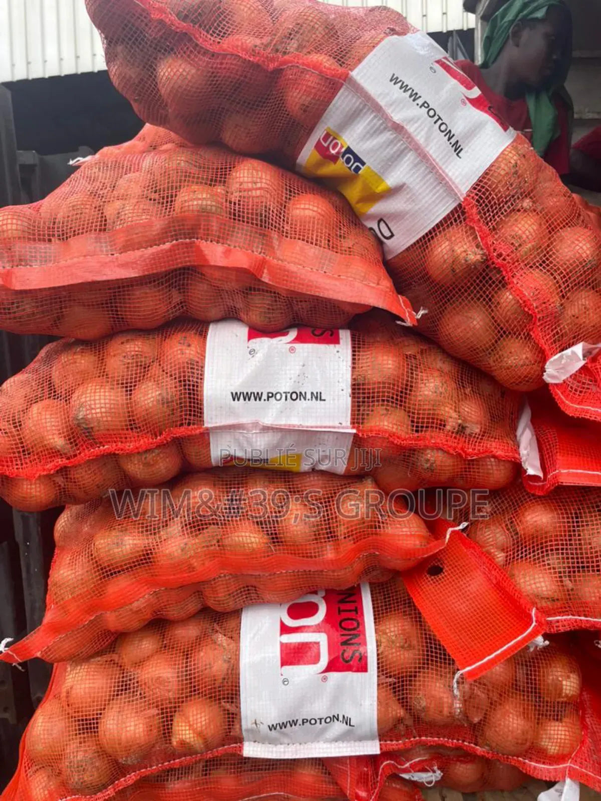 Oignons Hollandais Blanc