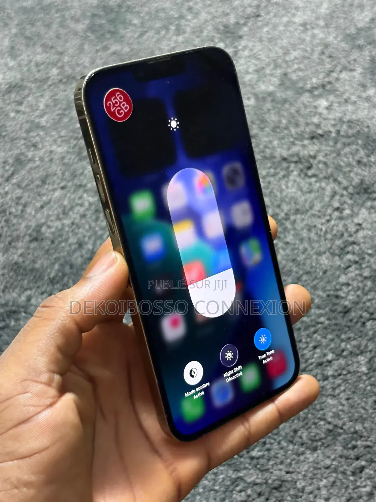 Apple iPhone 13 Pro Max 256 GB Argenté