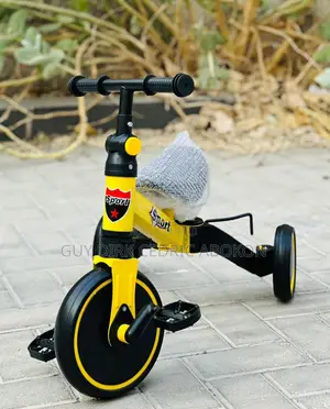 Vélo Tricycle