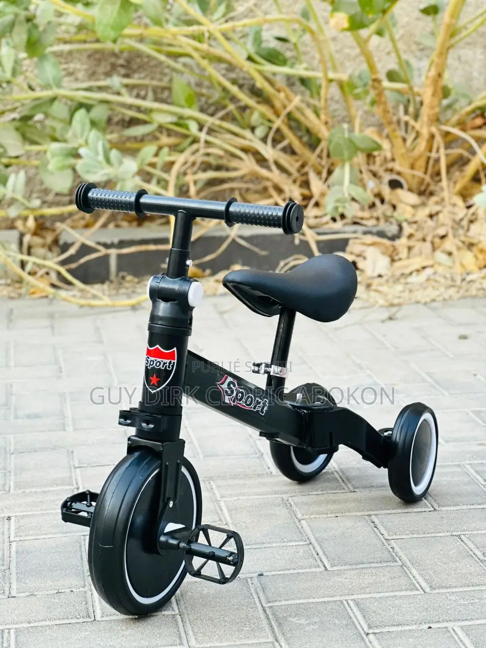 Vélo Tricycle