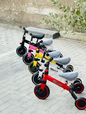 Vélo Tricycle