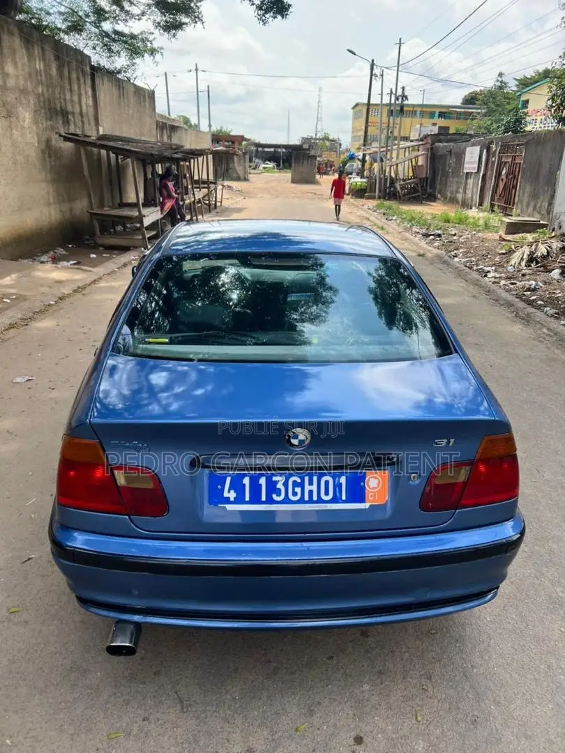 BMW 3 Series 2009 Blue