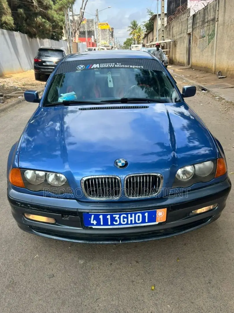 BMW 3 Series 2009 Blue